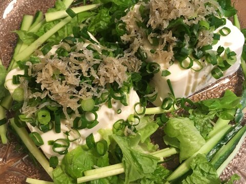 緑野菜とじゃこの豆腐サラダ